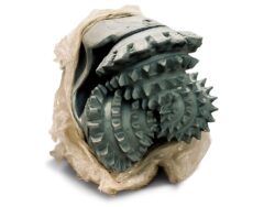 Шарошечное долото 444,5 С-ЦВ (Россия)